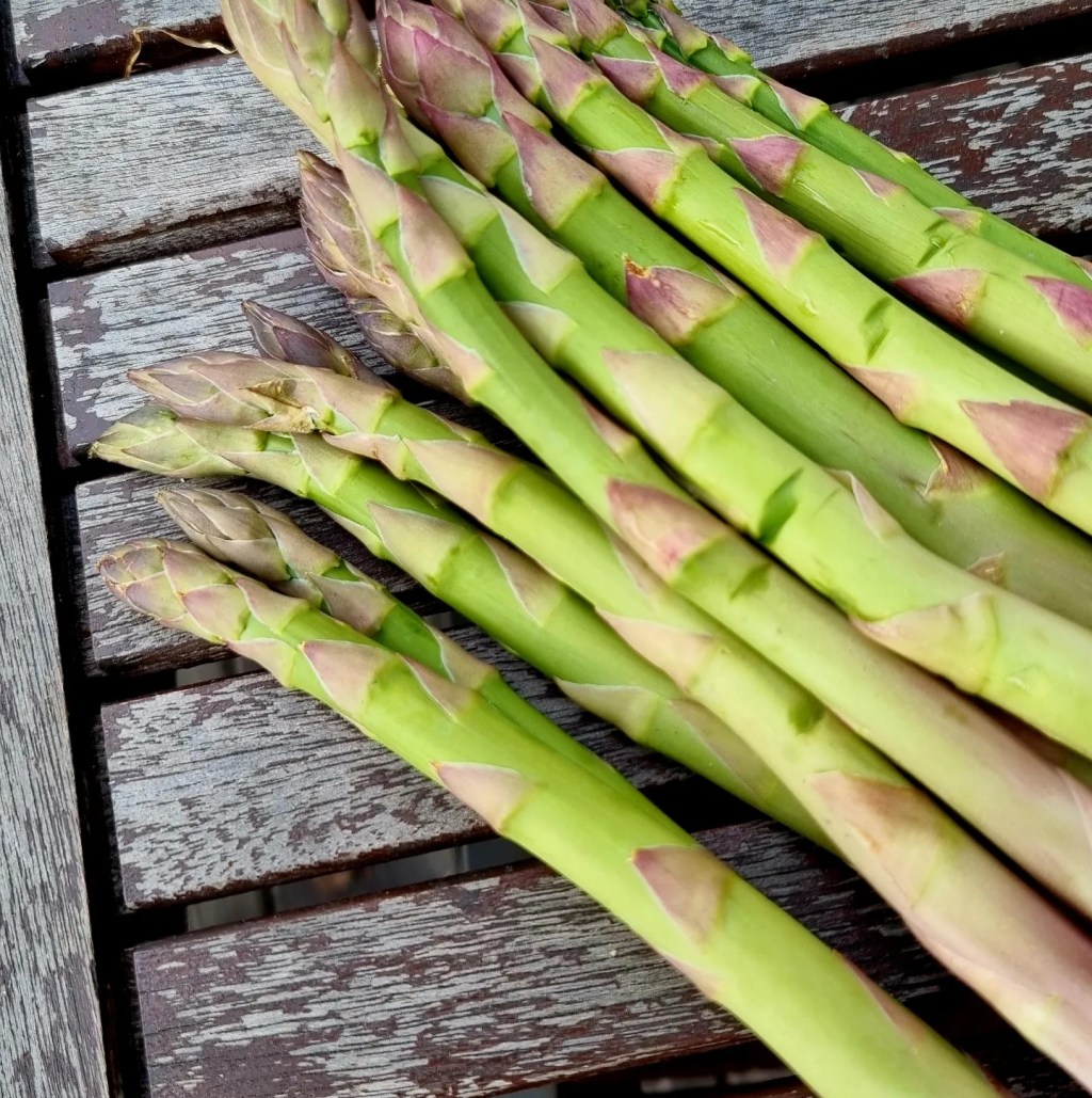 Sparris | Hollandaise