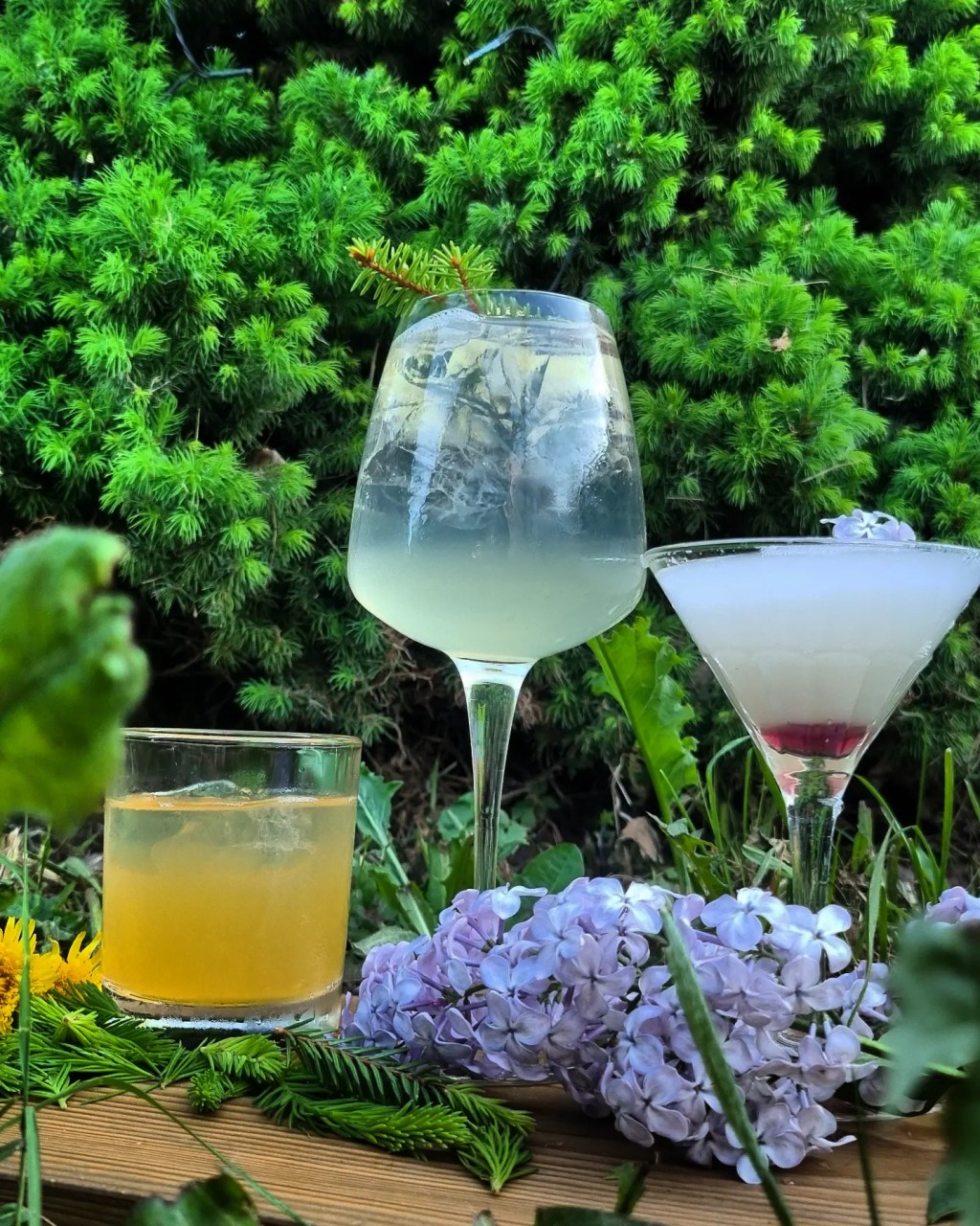 Norrländsk | Fingrogg