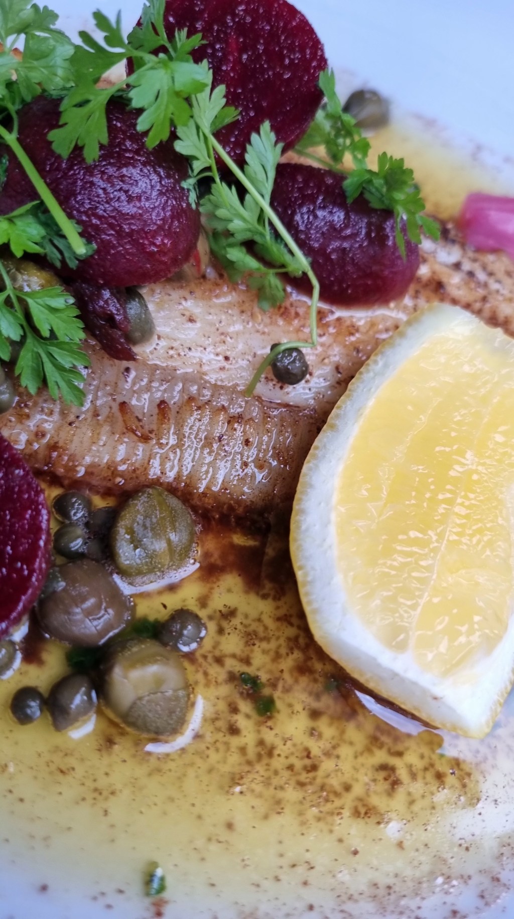 Gamla Masters vs Nya&nbsp;Zeeland