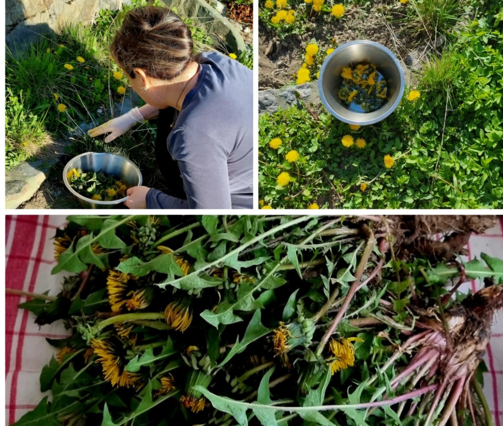 Maskrossocker | Maskrospesto