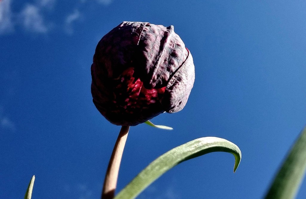 Ett svek mot de mest&nbsp;utsatta