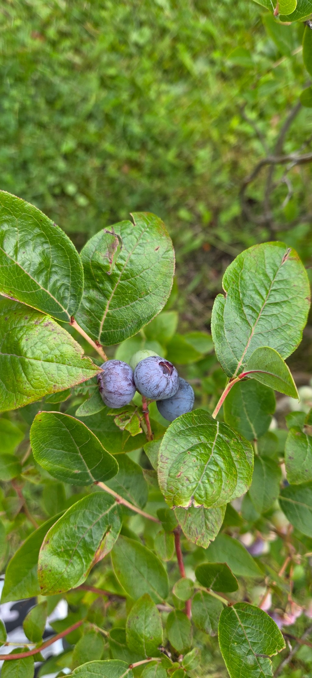 Tillsyn ska vara rättvis | Inte&nbsp;straffavgifter