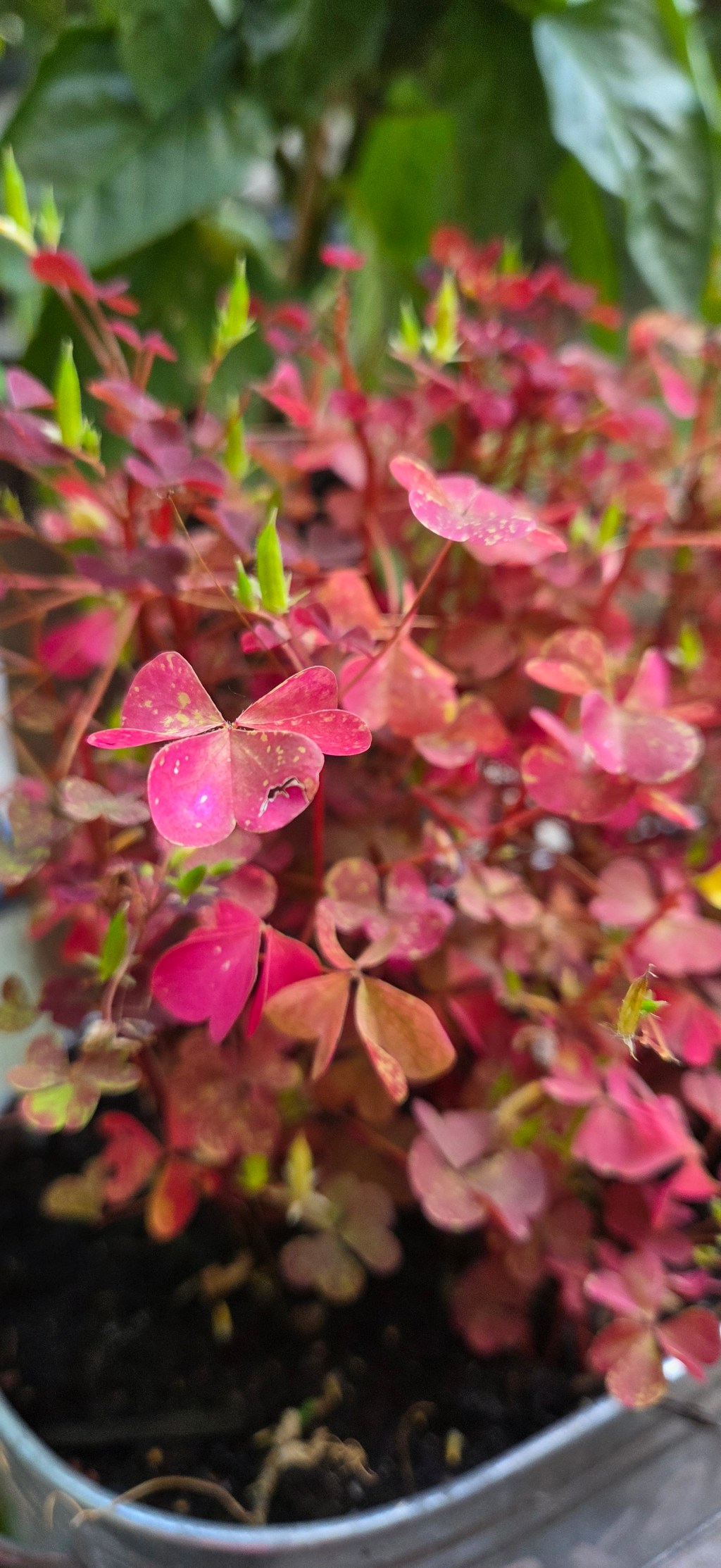 När gamla spår inte längre&nbsp;räcker
