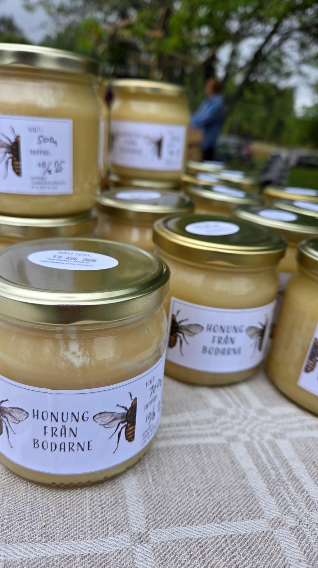 Hälsingesmak på landslagsbordet | Ulrika&nbsp;Andersson