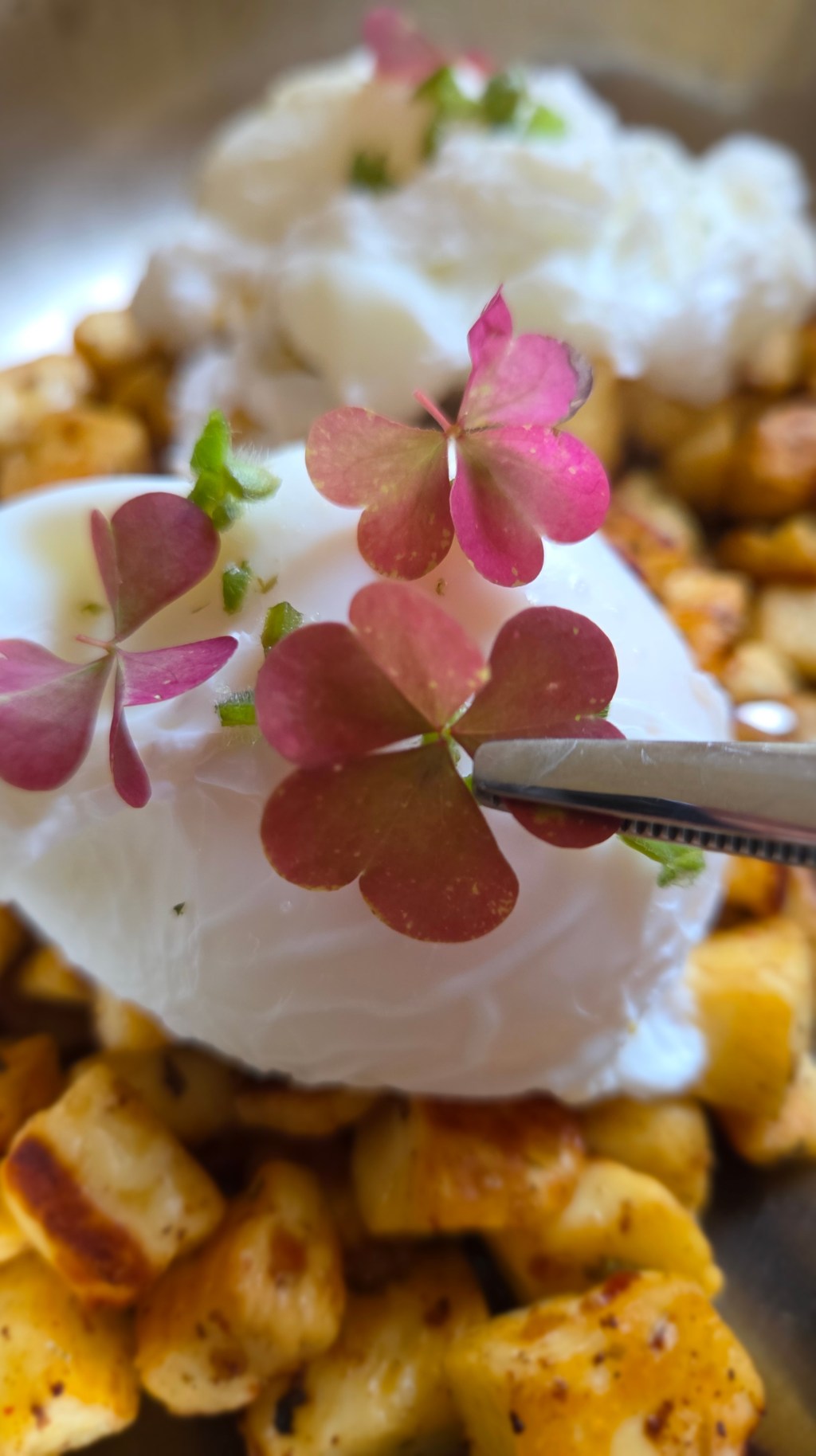 Pocherat ägg på&nbsp;pytt